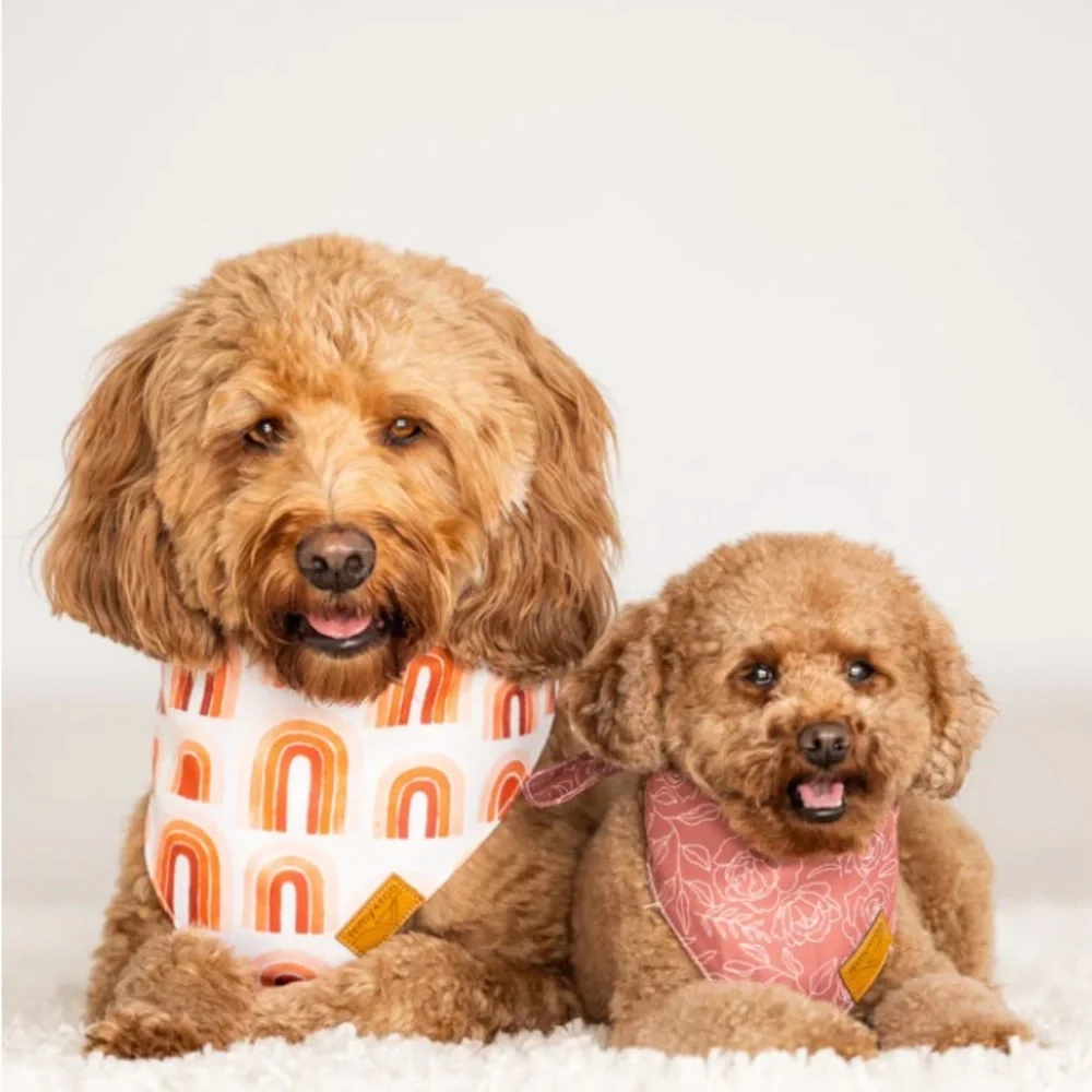 REMY+ROO PET BANDANAS LOT OF 3 Sell for 25 each get all three